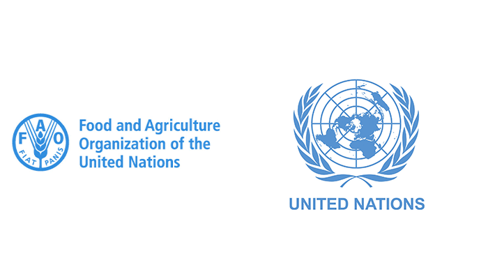 UN and FAO logos.