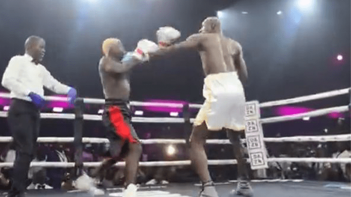 Carter Efe, Portable inside boxing ring