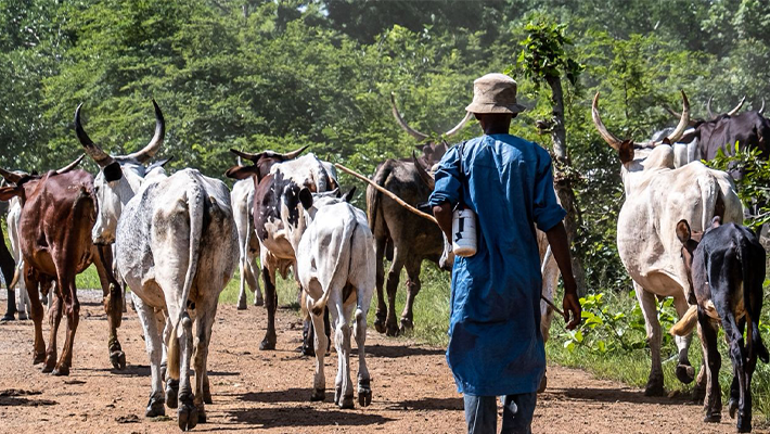 Herders
