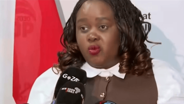 minister of justice, Mmamoloko Kubayi