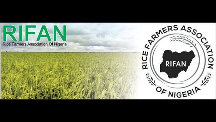 Rice Farmers Association of Nigeria (RIFAN)