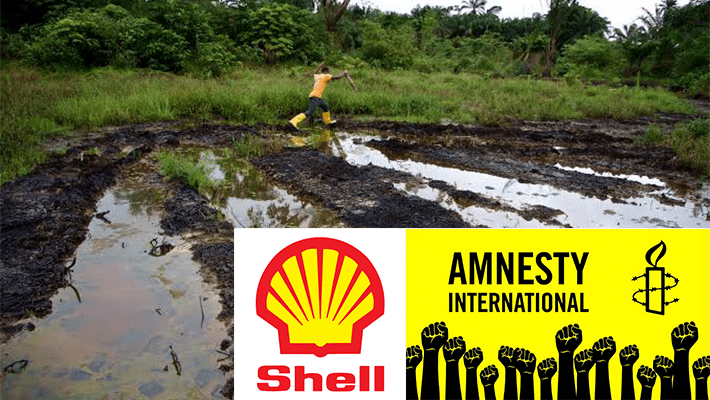 : Oil spill in Niger Delta, Shell, Amnesty International