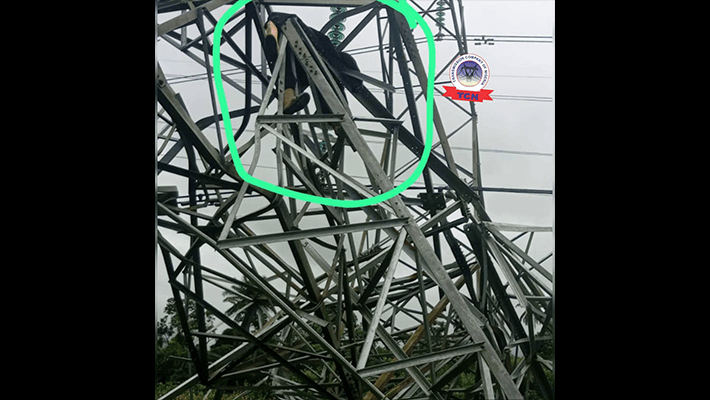 cable vandal