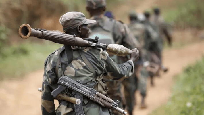 DR Congo forces