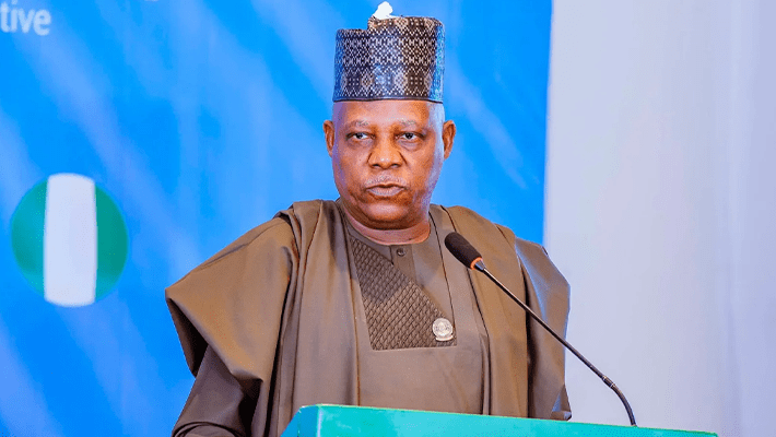 Vice-President Kashim Shettima