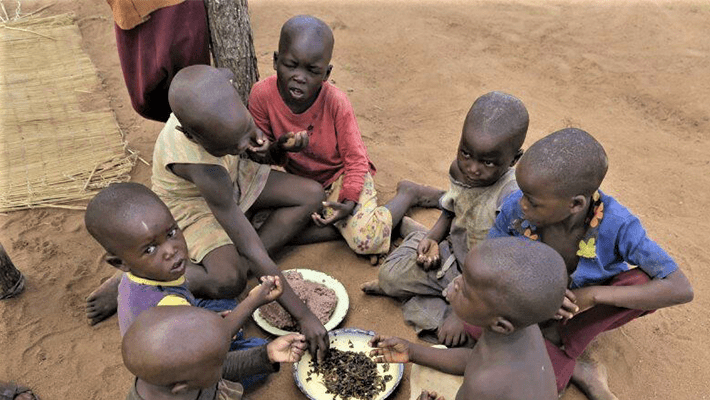Kids eating in the North