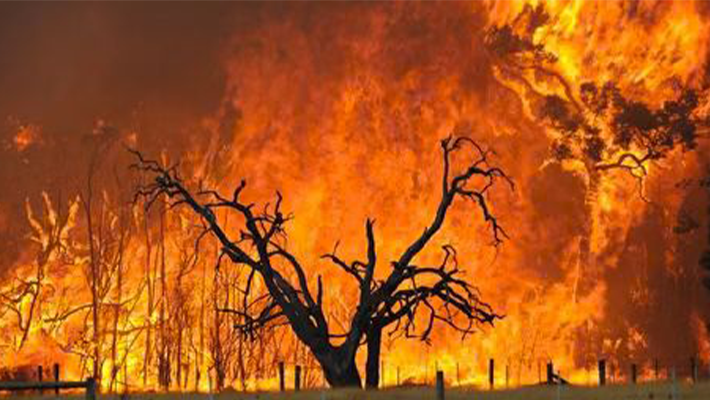 Melbourne bushfires