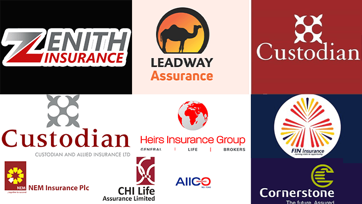 Zenith General Insurance Company Ltd., Leadway Assurance Company Ltd., Custodian Life Assurance Ltd., Custodian and Allied Insurance Plc, NEM Insurance Plc, AIICO Insurance Plc, CHI Life Assurance Ltd., Heirs General Insurance Ltd., FIN Insurance Company Ltd., Cornerstone Insurance Plc and Mutual Benefits Assurance Plc.