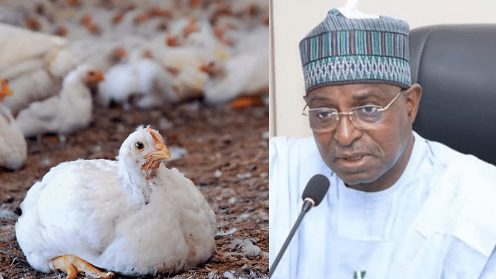Poultry and livestock minister Mukhtar-Maiha.