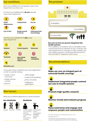 World report on vision