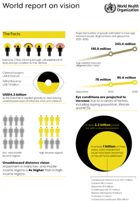 World report on vision