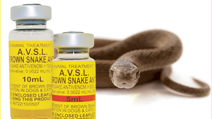 Anti-snake venom