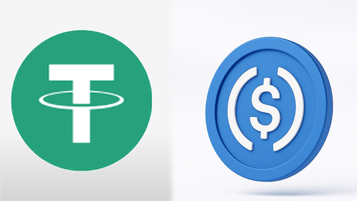 Tether (USDT) and USD Coin (USDC)