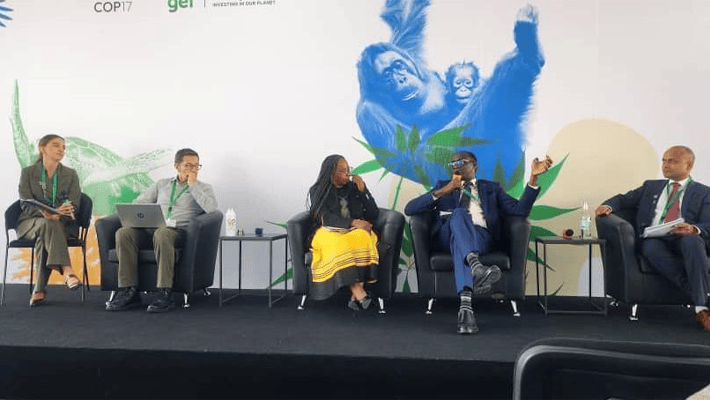 From left: Eva Bortolotti (UNDP, moderator), Andrés Factos (Ecuador), Phindile Masangane (DBSA), Dr Eugene O. Itua (AGESI) and Gaurav Gupta (UNDP).