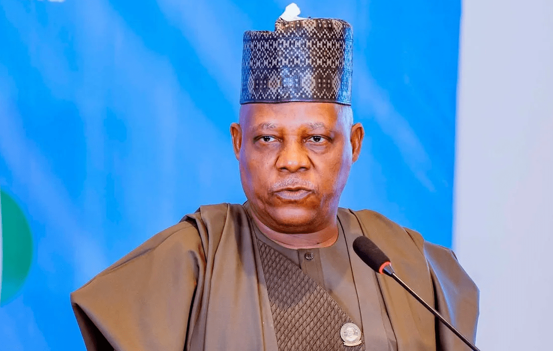 Vice-President Kashim Shettima