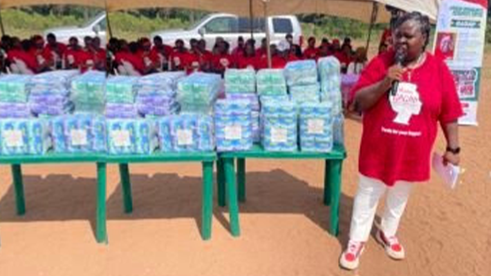 Convener of the African Immigrants Resources Centre, Mrs Chimezie Oji-Kalu