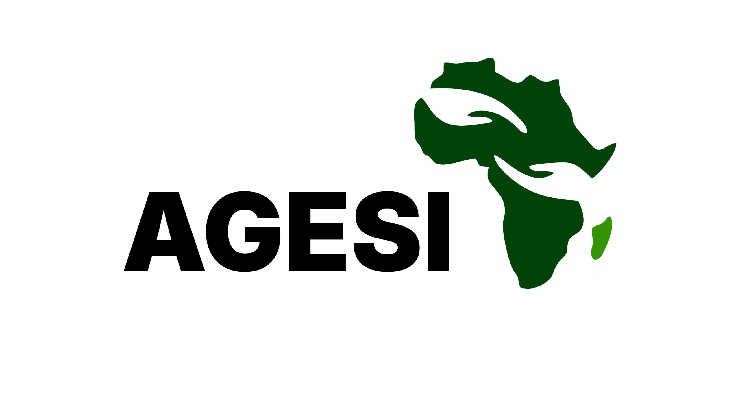 Africa Green Economy & Sustainability Institute