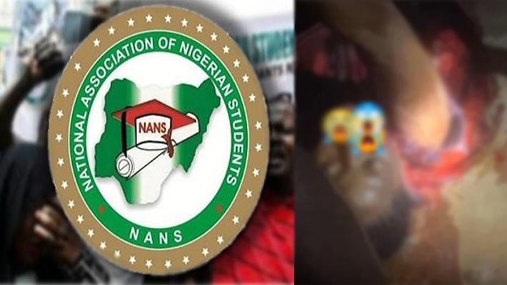 National Association of Nigerian Students (NANS) logo and slain student.