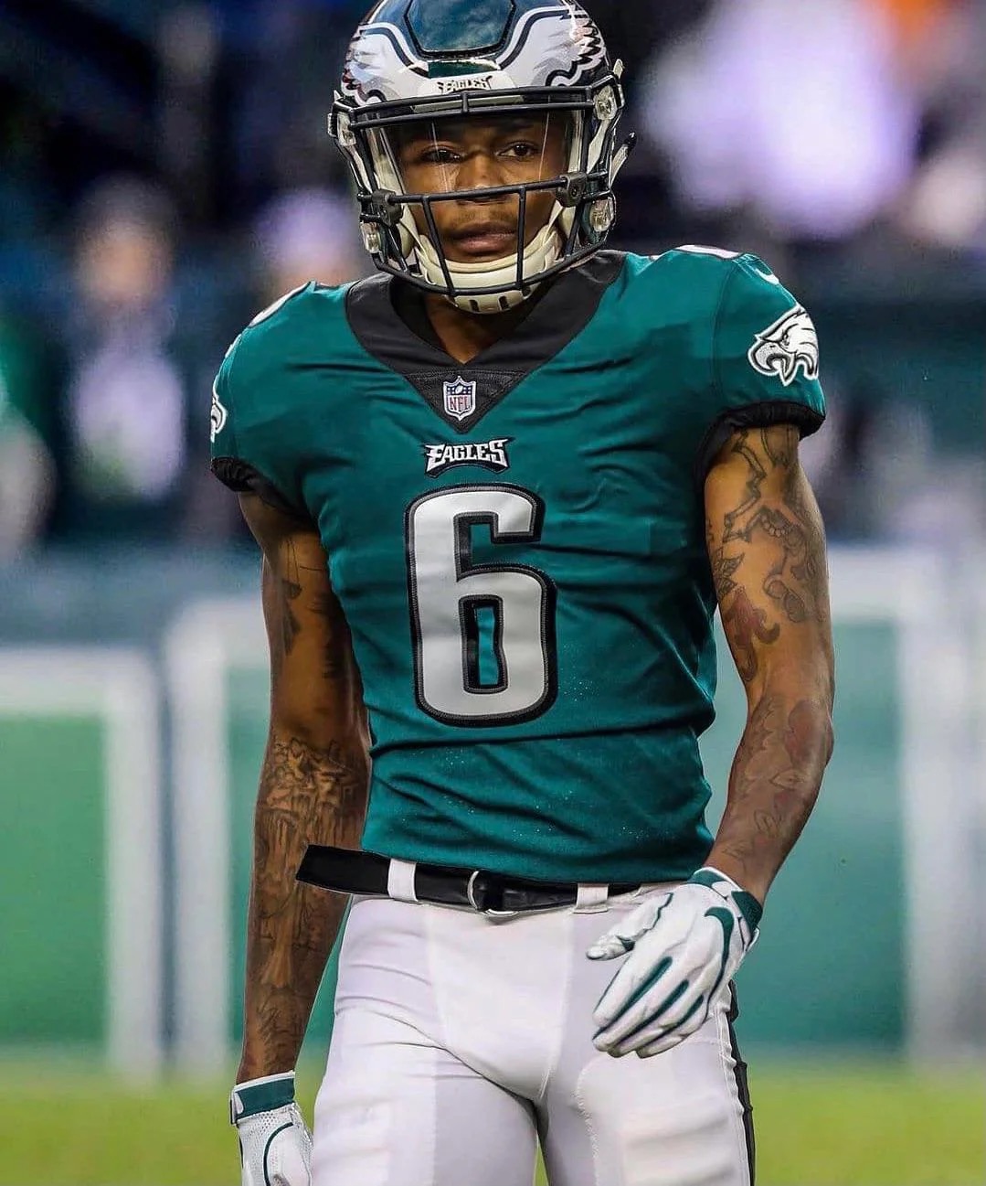 EAT. SLEEP. BREATHE... EAGLES