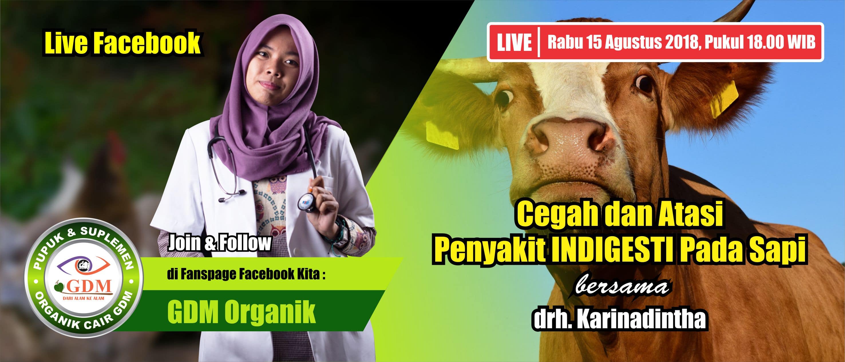 Facebook Live Cegah Dan Atasi Penyakit Indigesti Pada Sapi