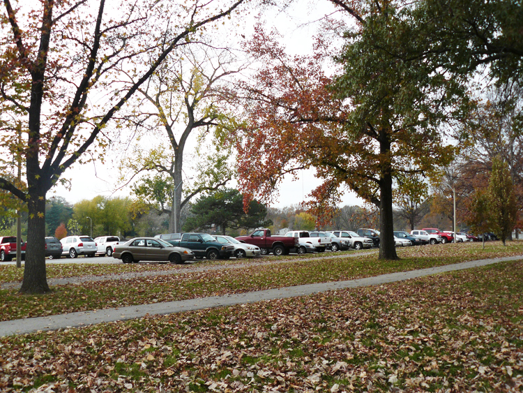 Pictures from Willmore Park