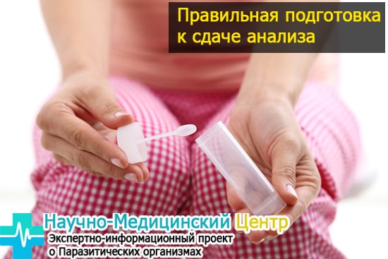 Что съесть чтобы сдать анализ кала. Анализ кала: как правильно сдавать и какие анализы существуют. Как правильно сдавать анализ кала: правила сбора, хранения и транспортировки кала Во что можно сдать анализ кала