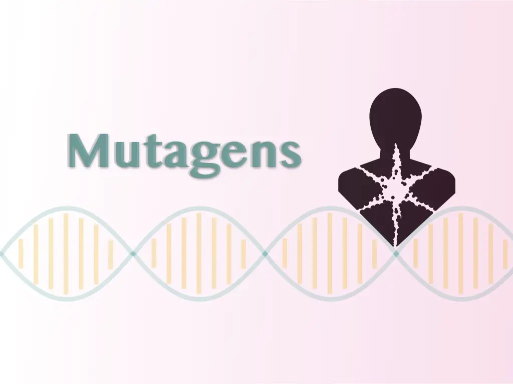 Mutagen Definition, Types And Effect