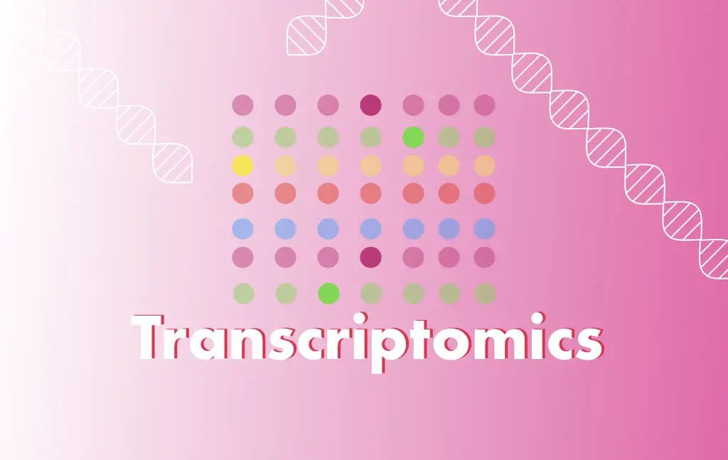 What Is Transcriptomics?