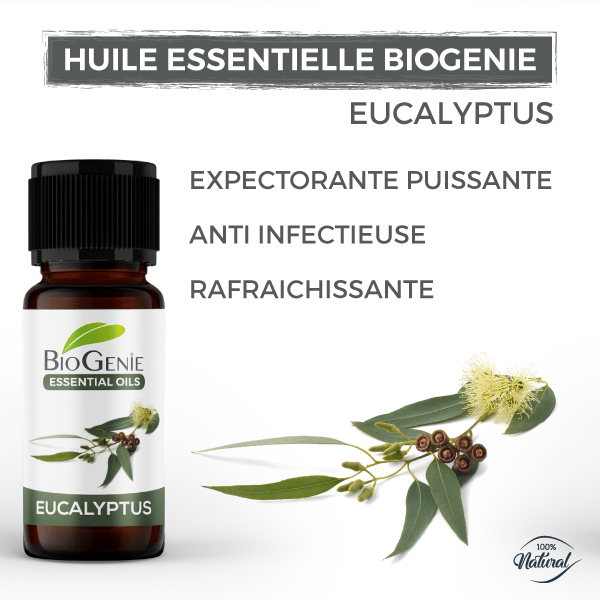 Huile Essentielle D'Eucalyptus - 10 Ml Pure, Pour Aromathérapie - Fabriquée En France
