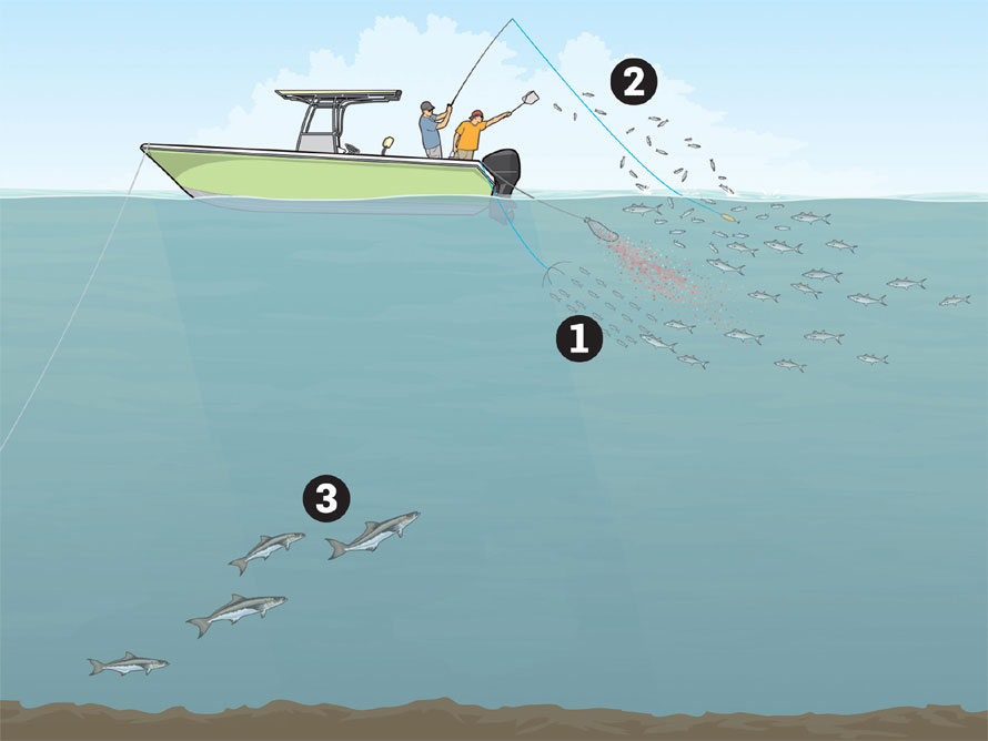 Of frozen chum overboard in a couple chum bags and wait for the fish to . Unorthodox Dredge Tactics