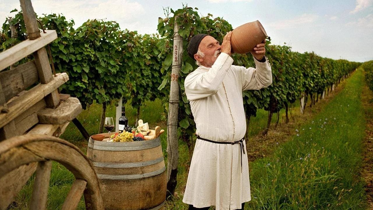 Спецпредложения и туры в кахетию, грузия из минска, москвы, вильнюса. Odnodnevnyj Vinnyj Tur V Kahetiyu Geotrend