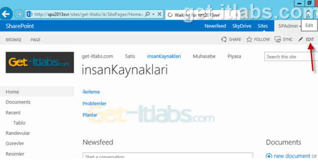 Sharepoint2013HowToAddChartWebPartFoto_3