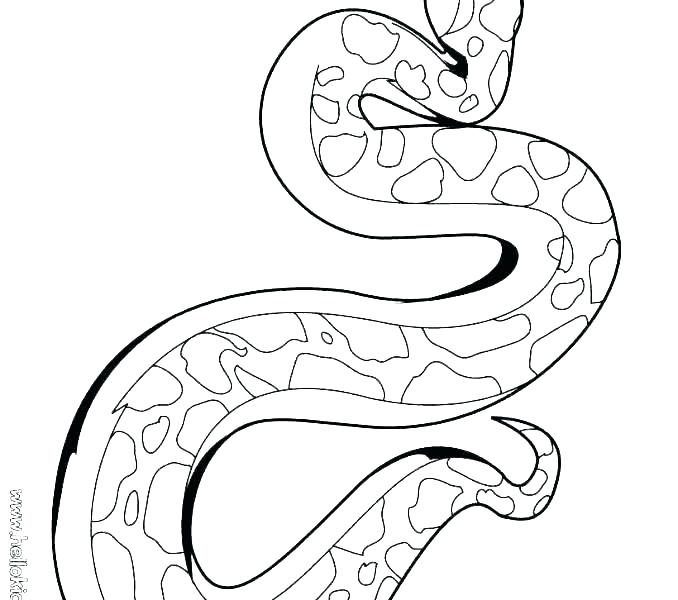 Here's our coloring page on the ball python! The best free Python coloring page images. Download from 61 free