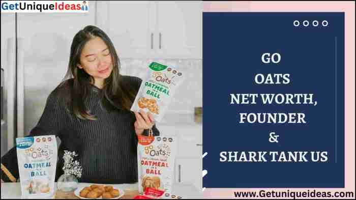 Gonoodle net worth