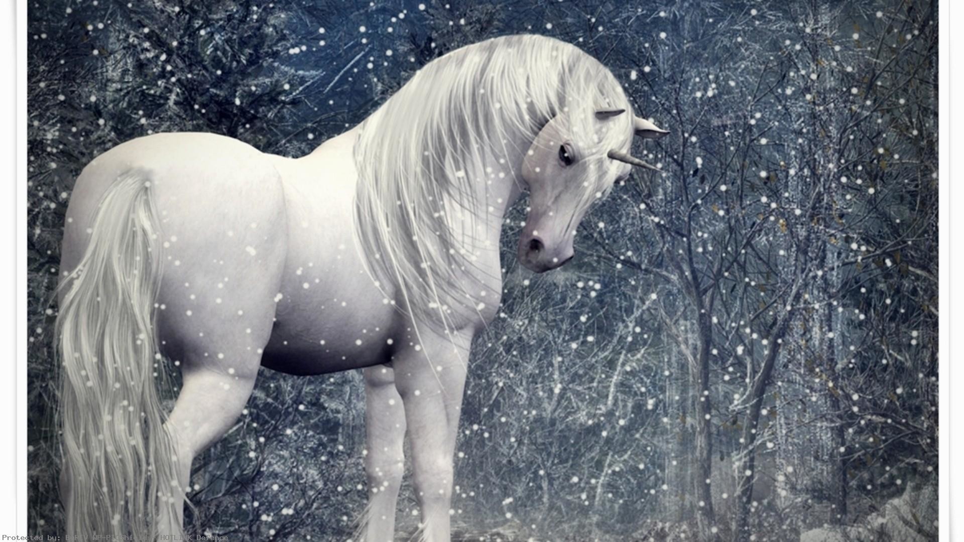 Find & download free graphic resources for unicorn wallpaper. Snowy Forest Desktop Wallpaper (52+ images)