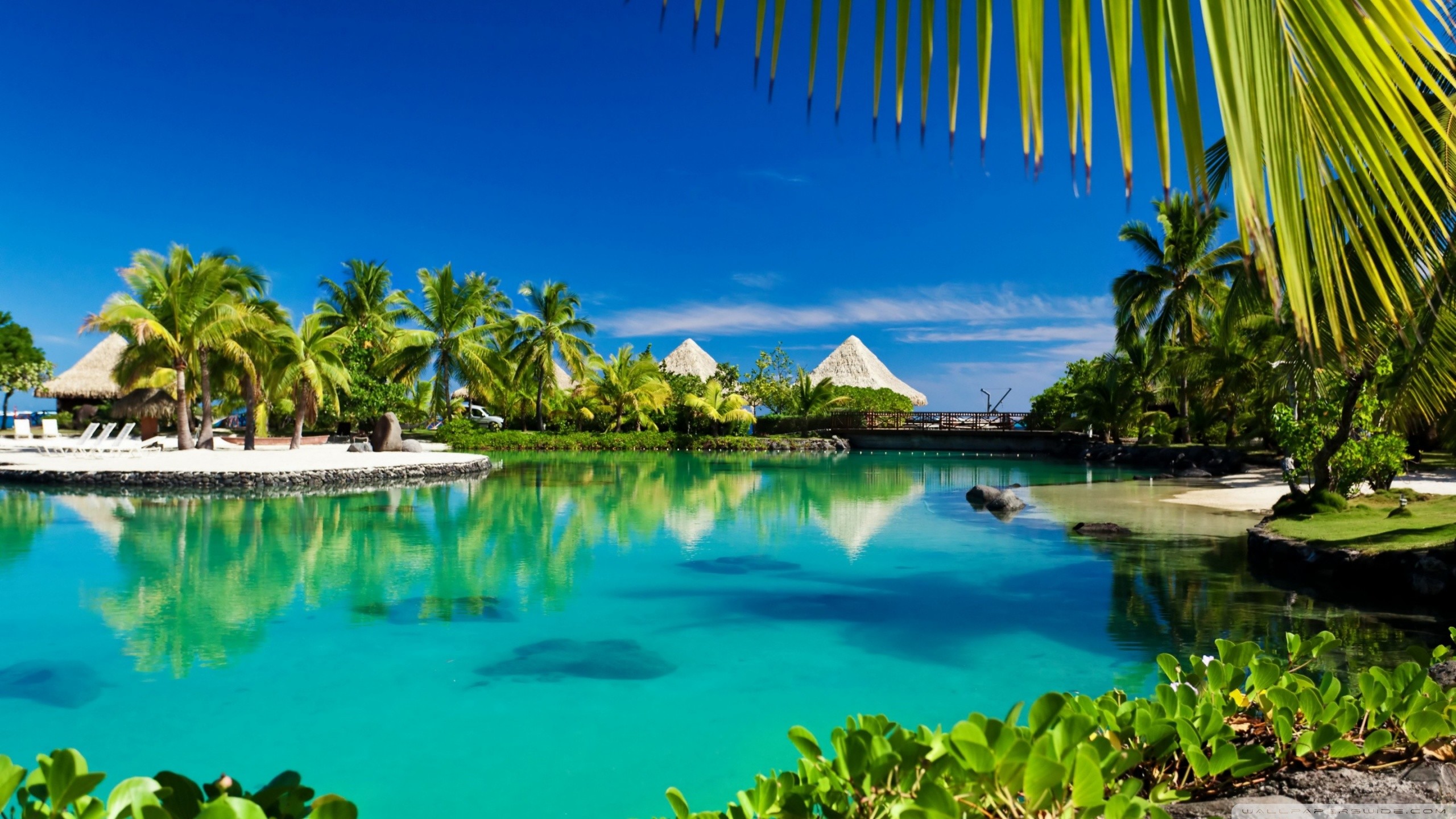 Nearby attractions include prime outlets of pismo . High Definition Tropical Wallpapers (63+ images)