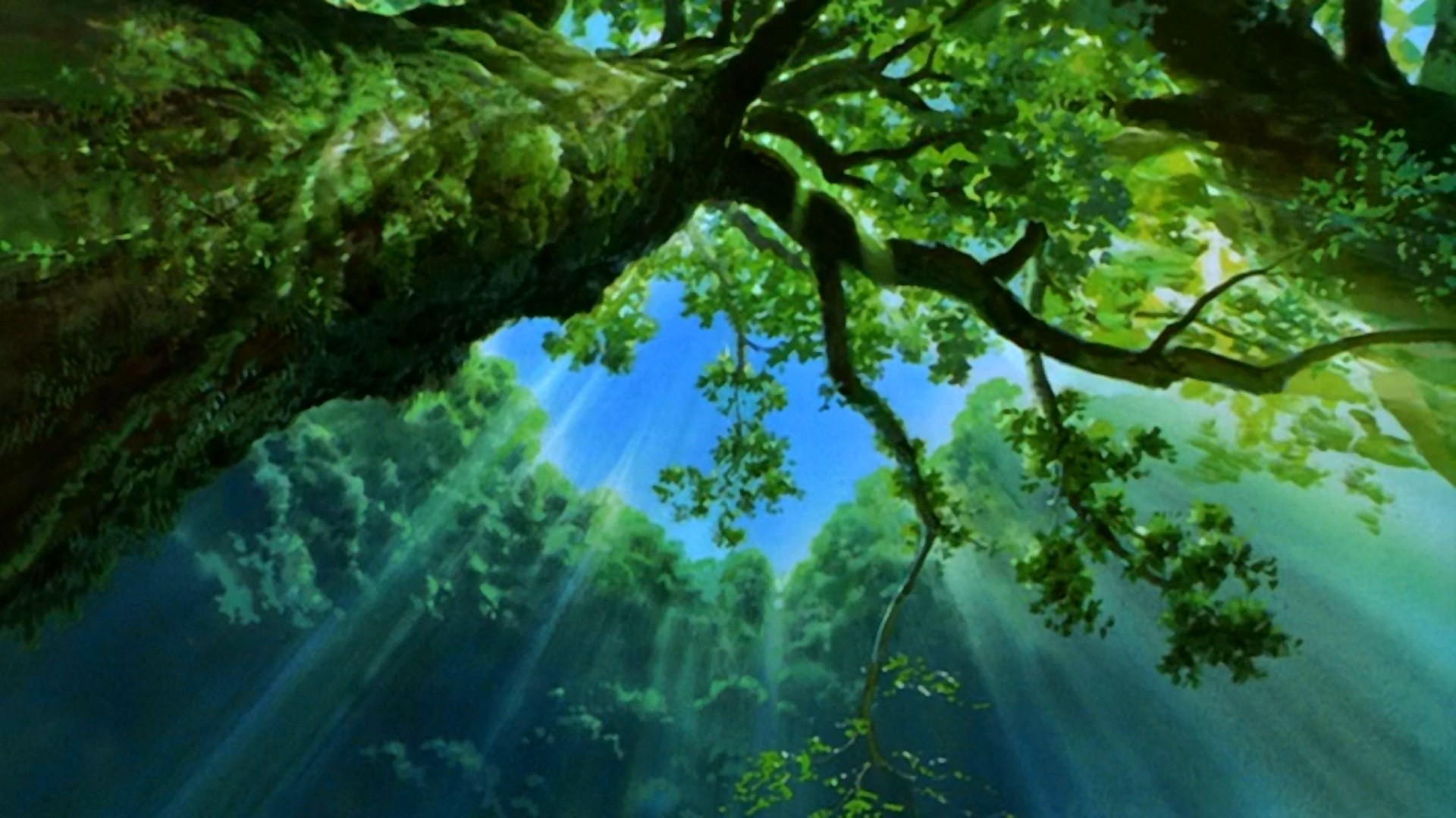 Nexus Desktop Wallpaper Nature / 57 Nexus Desktop Wallpaper Nature -