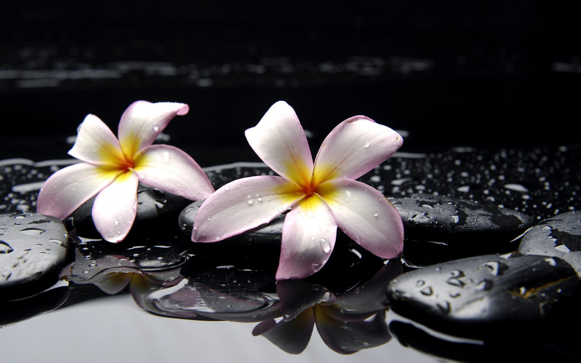You can also upload and share your favorite zen wallpapers. Zen Desktop Wallpaper (77+ images)