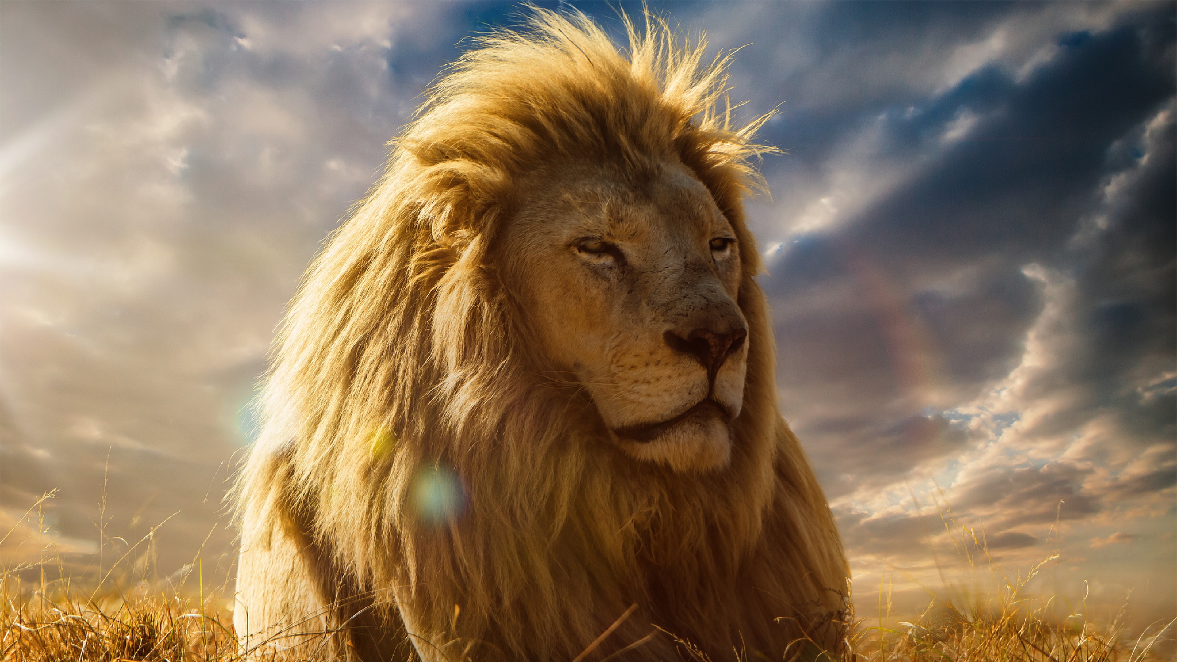 Claim your free 50gb now! Roaring Lion Wallpaper (67+ images)