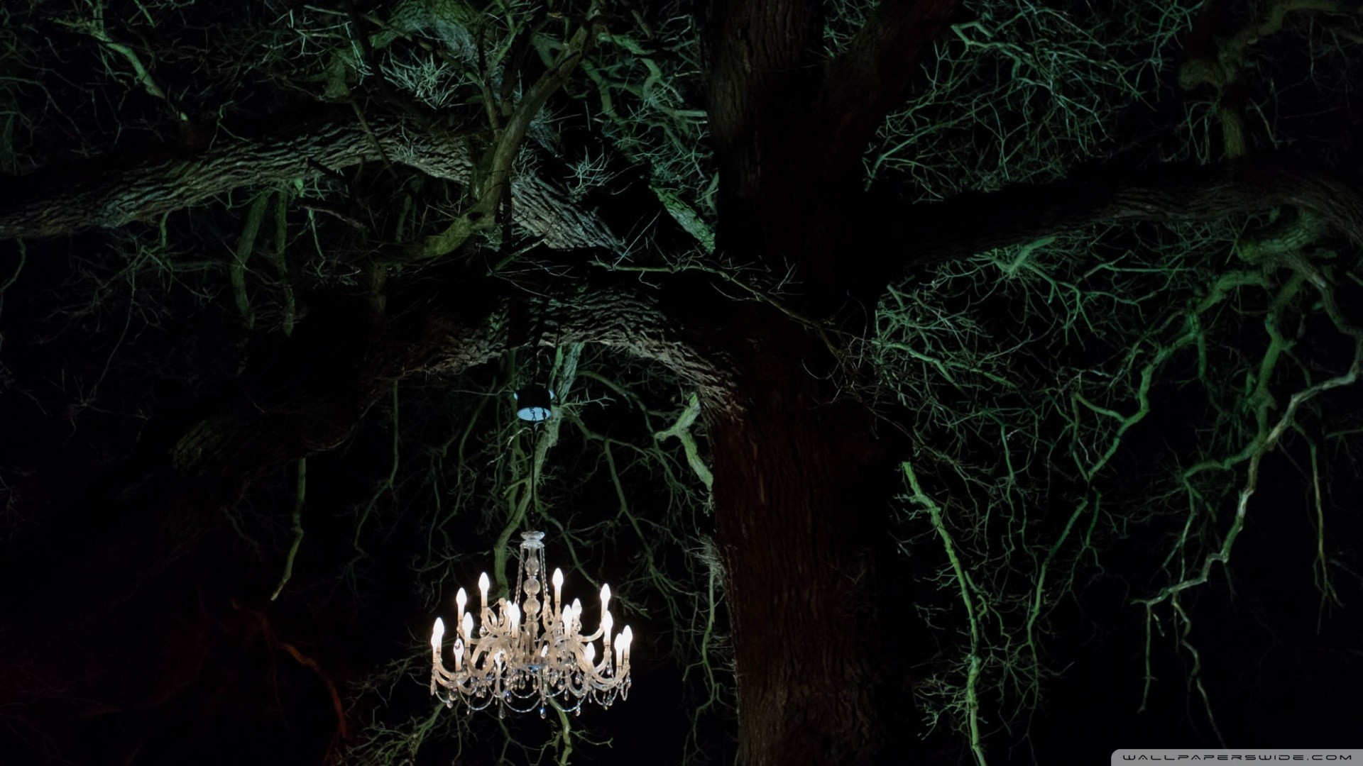 Download hd 720x1440 wallpapers best collection. 1280 X 720 Wallpaper (58+ images)