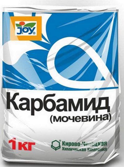 Иллюстрация к материалу «Препараты для клубники от вредителей и болезней. Уход за земляникой во время плодоношения»