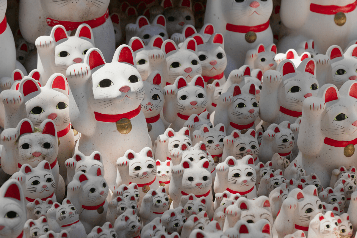 Some top tips to consider about how to name your cat. Awesome And Kawaii Japanese Cat Names Ginger Cat House