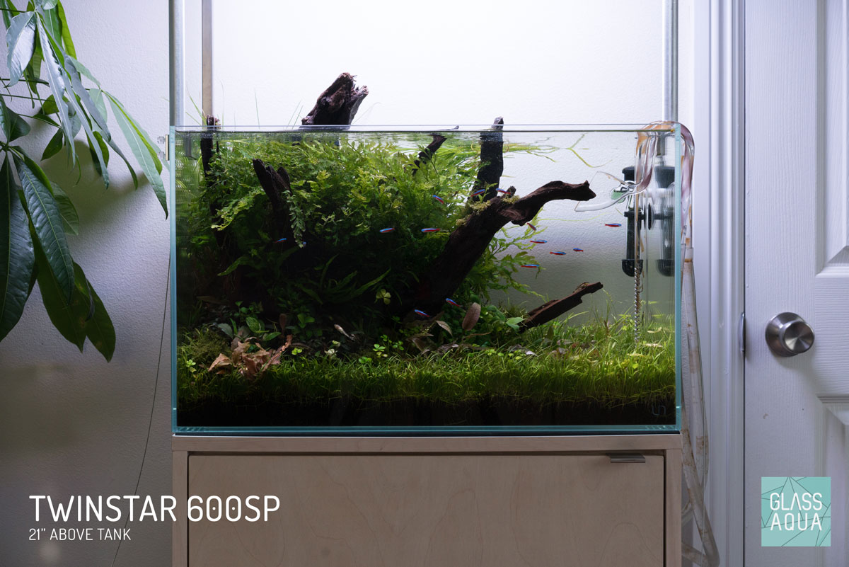Ultum Nature Systems UNS 60U Planted Aquarium Tank Twinstar 600SP