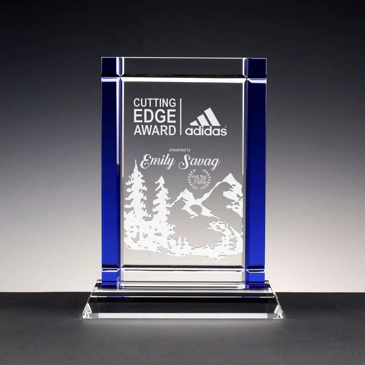 I understand that falsely completing this induction for other people is an illegal and fraudulent offence which can lead to prosecution under the uk law fraud act 2006 and the health & safety at work act 1974. Deco | Glassical Designs