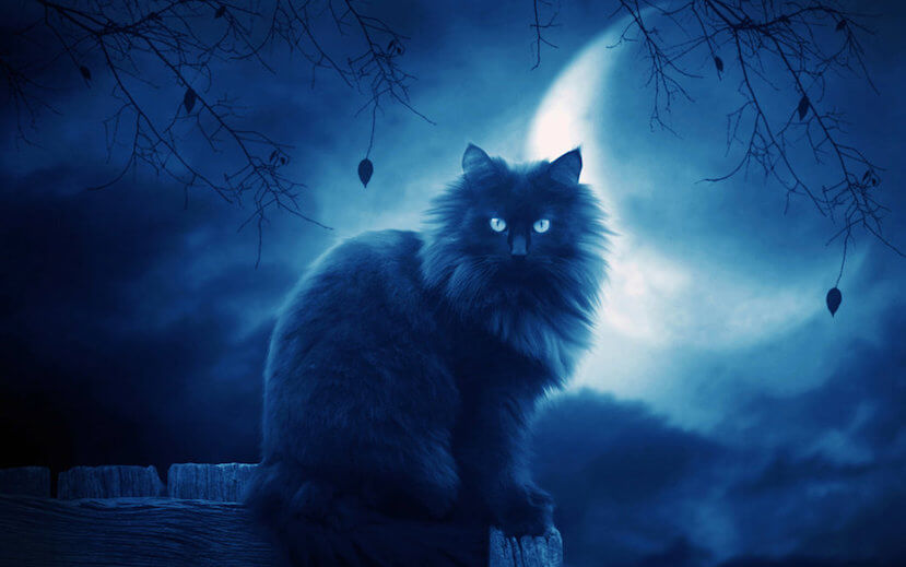 Рассказ грудное молоко старшей сестры blog pot mir cat