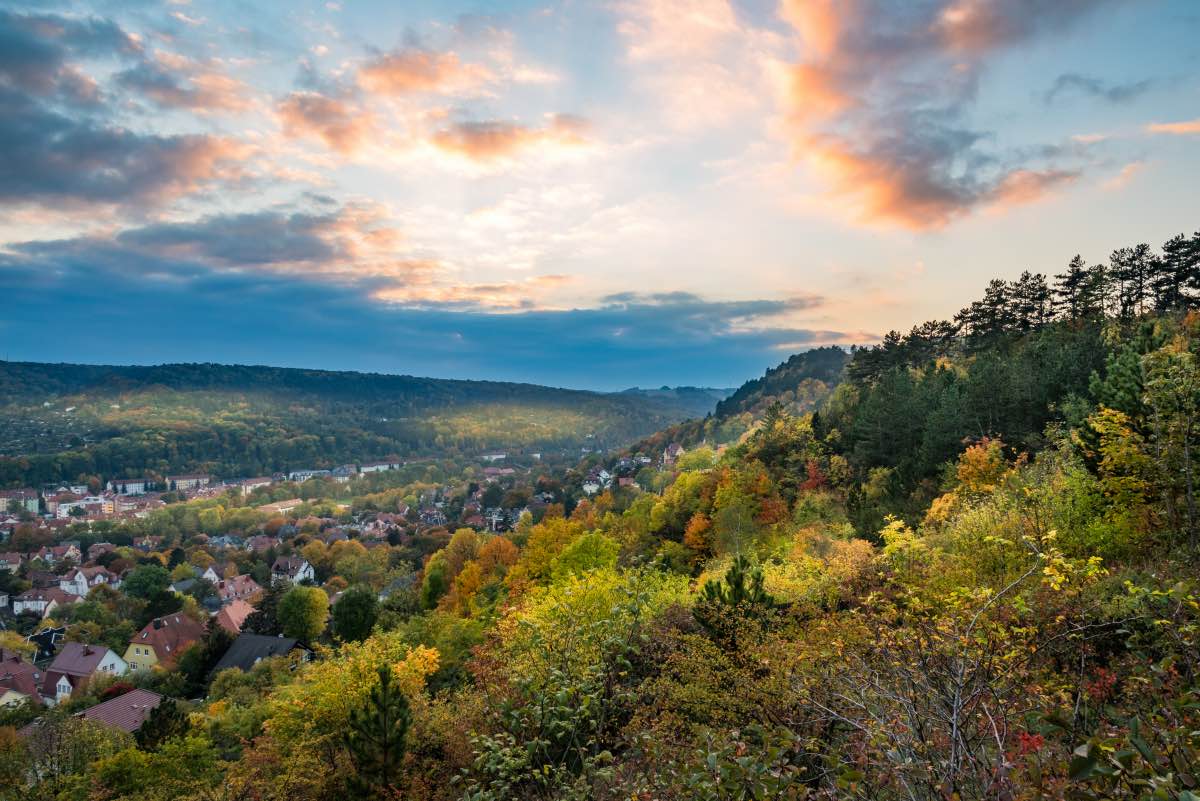Wohnung oder wg in unserer datenbank: Immobilienmakler Suche: Finden Sie den passenden Makler