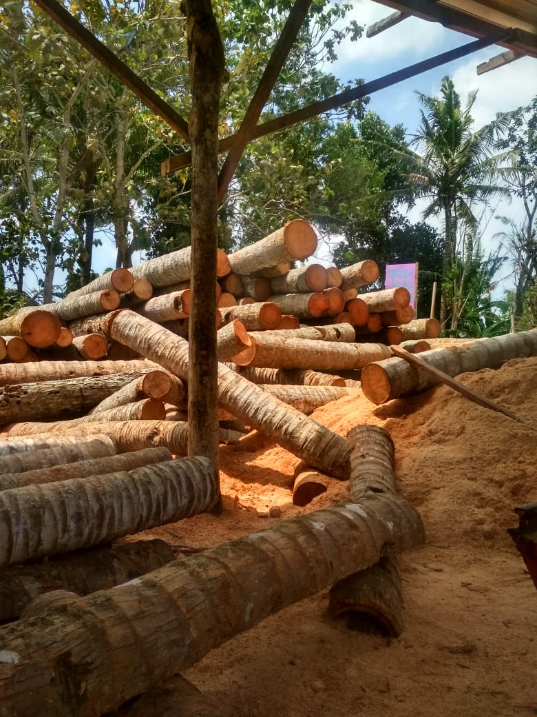 Harga Kayu Glugu Harga Kayu Glugu