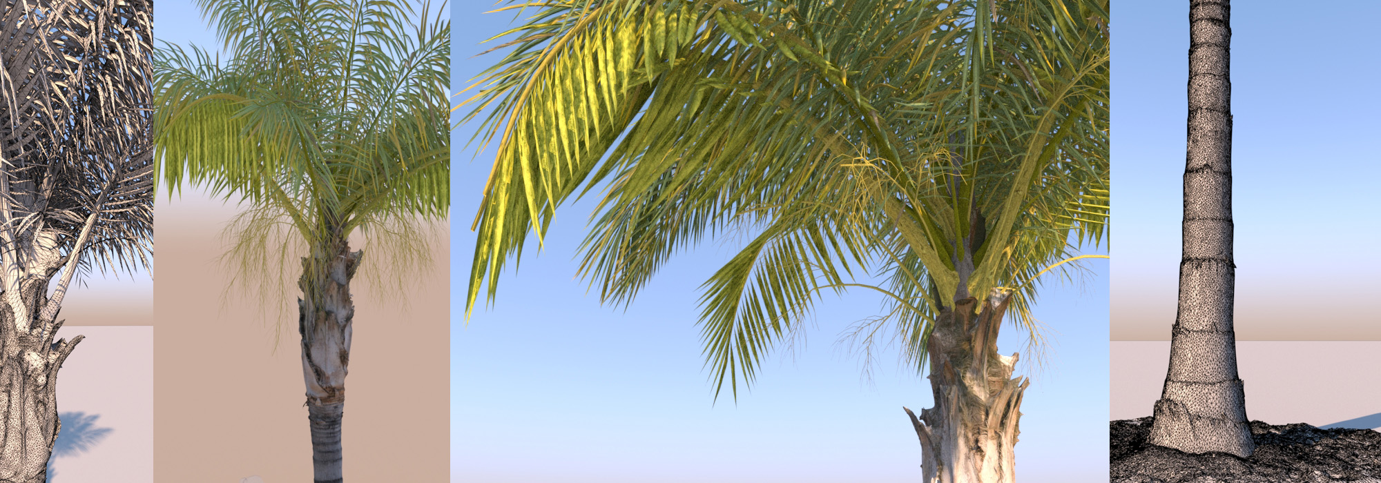 Gobotree Photos Cut Outs 3d People Textures And Other Visualization Resources