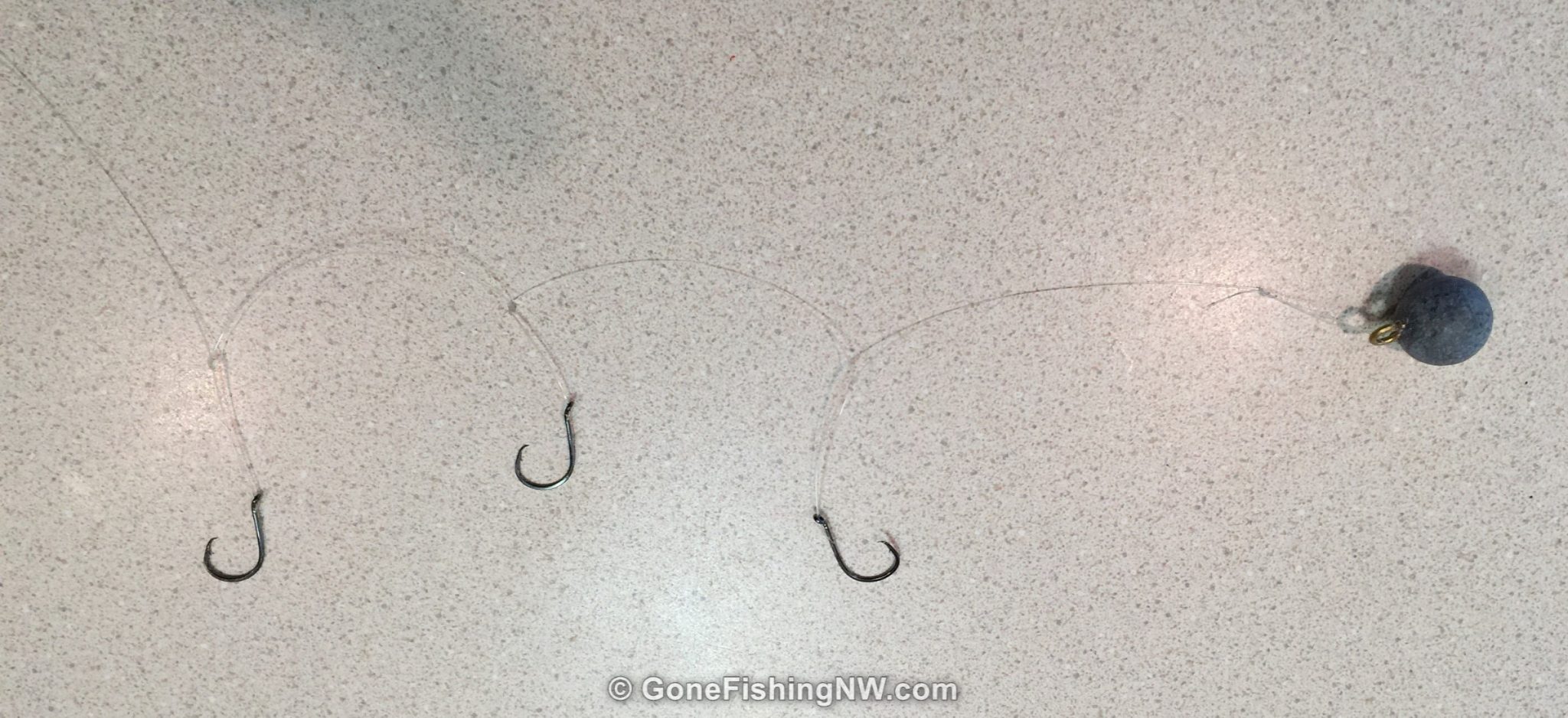 Pass a loop through the eye of the hook. Lake Washington Perch Fishing Secrets â Gone Fishing Northwest