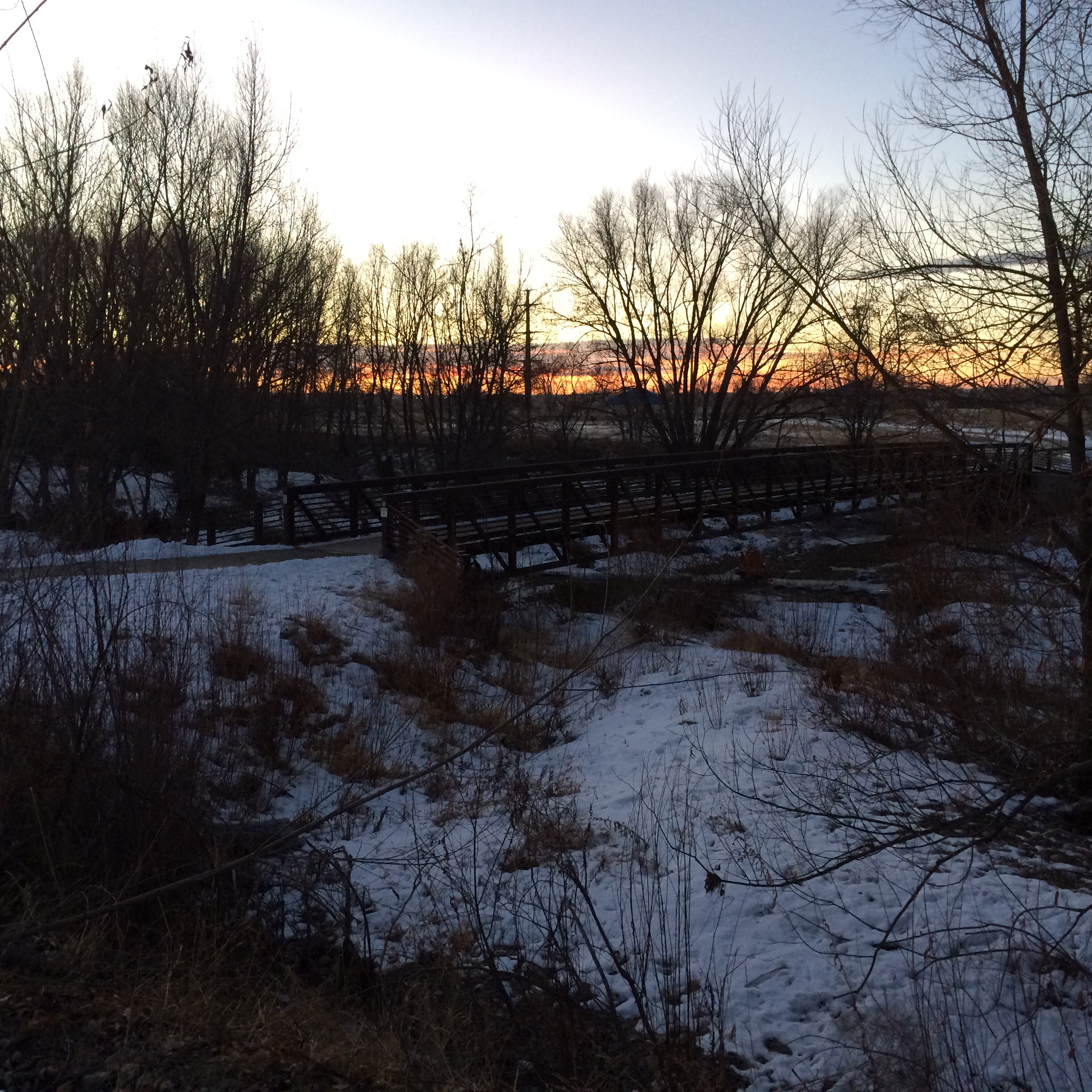 Running In Golden Ponds Park Got2Run4MeRunning With Perseverance